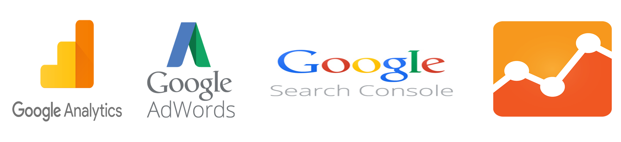 SEO Services Provider Delhi