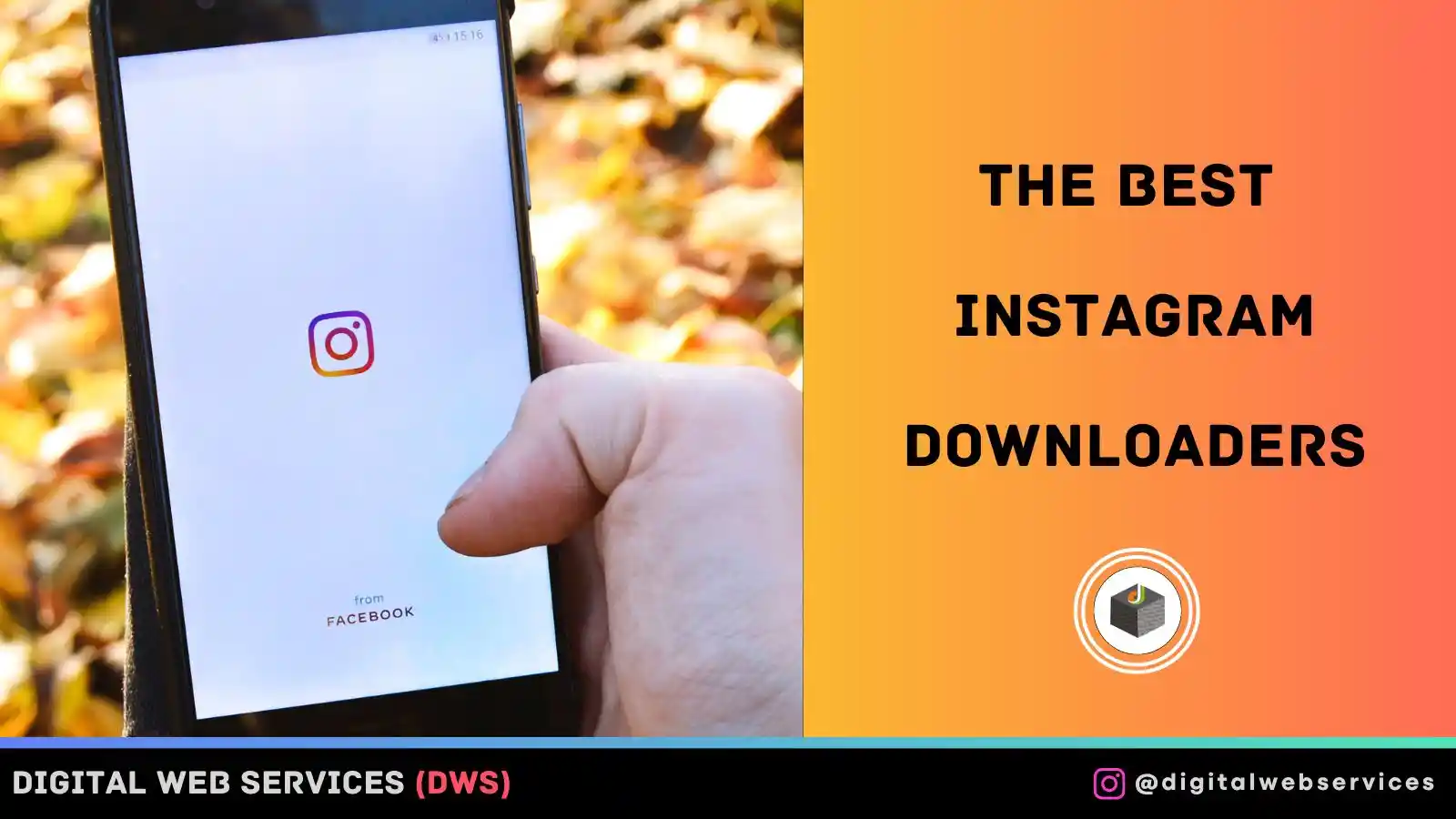 The Best Instagram Downloaders